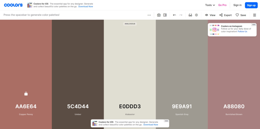 6 - How Choose Your Coaching Brand Color Palette